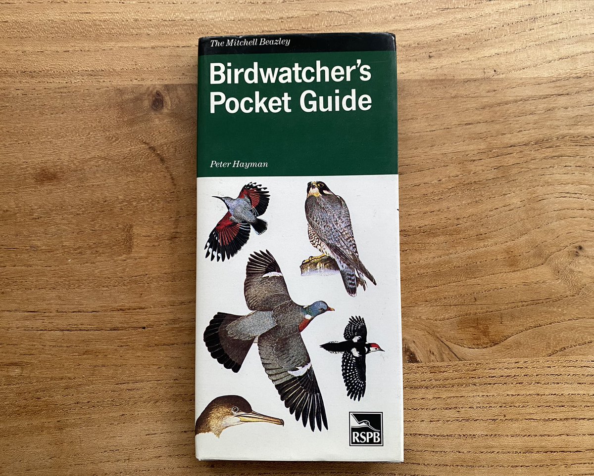 Beachy Head Birder tweet media