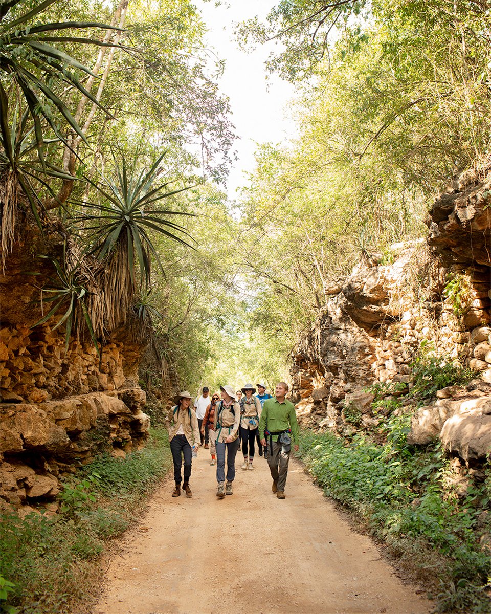 ✨ Andrew Reiner, winner of the Photography Award 2024, sponsored by Kuoni, impressed the judges with his impactful and creative photography. “The images are vibrant, crisp and really high quality,” they noted at the Travel Media Awards.