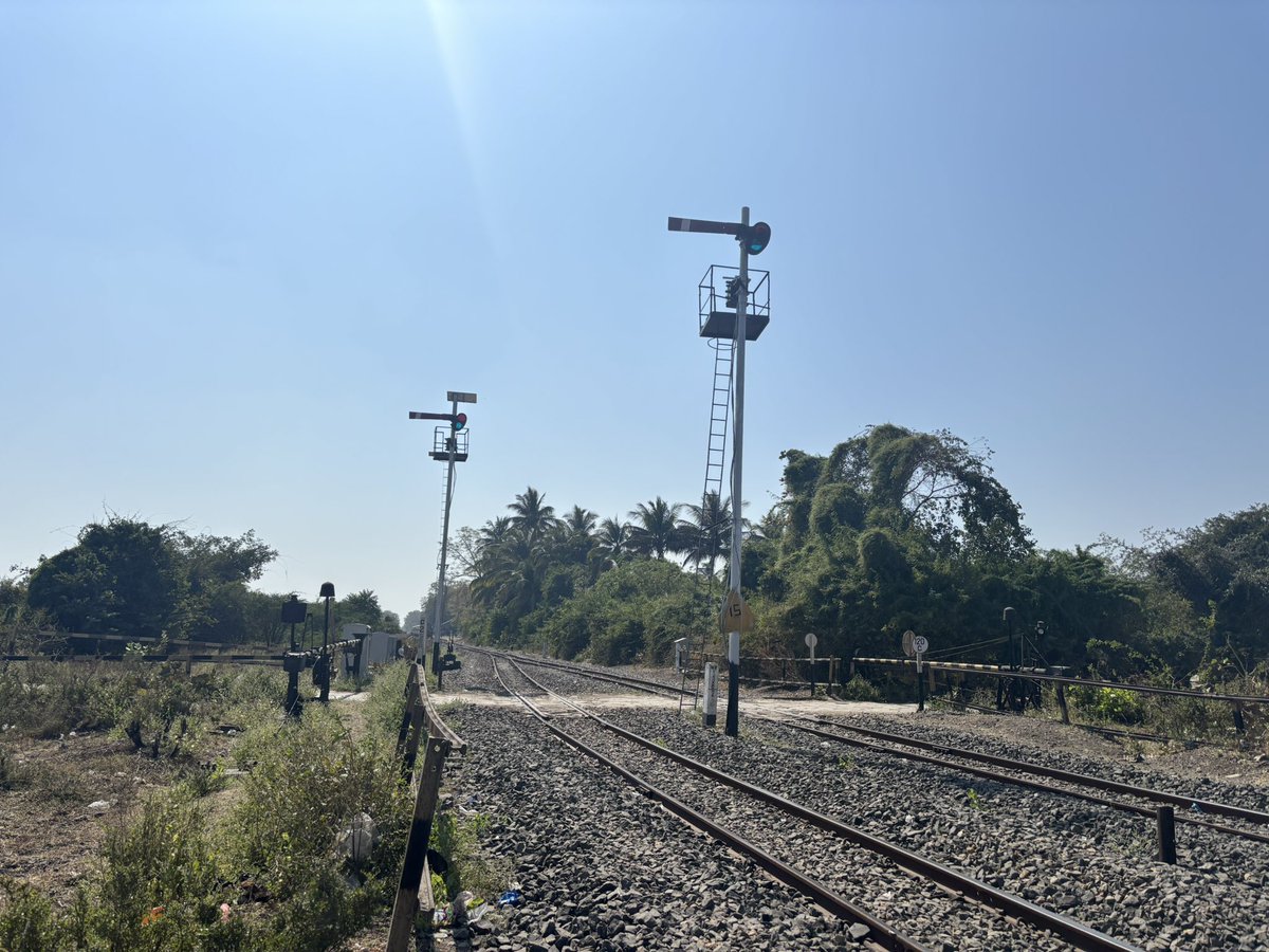 Dan tweet media