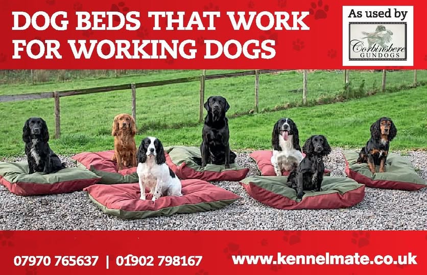 Kennelmate Dog Beds tweet media