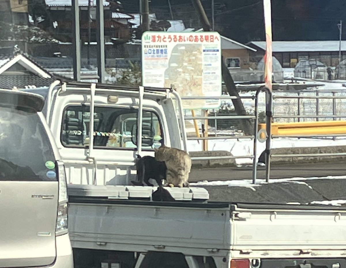 近況