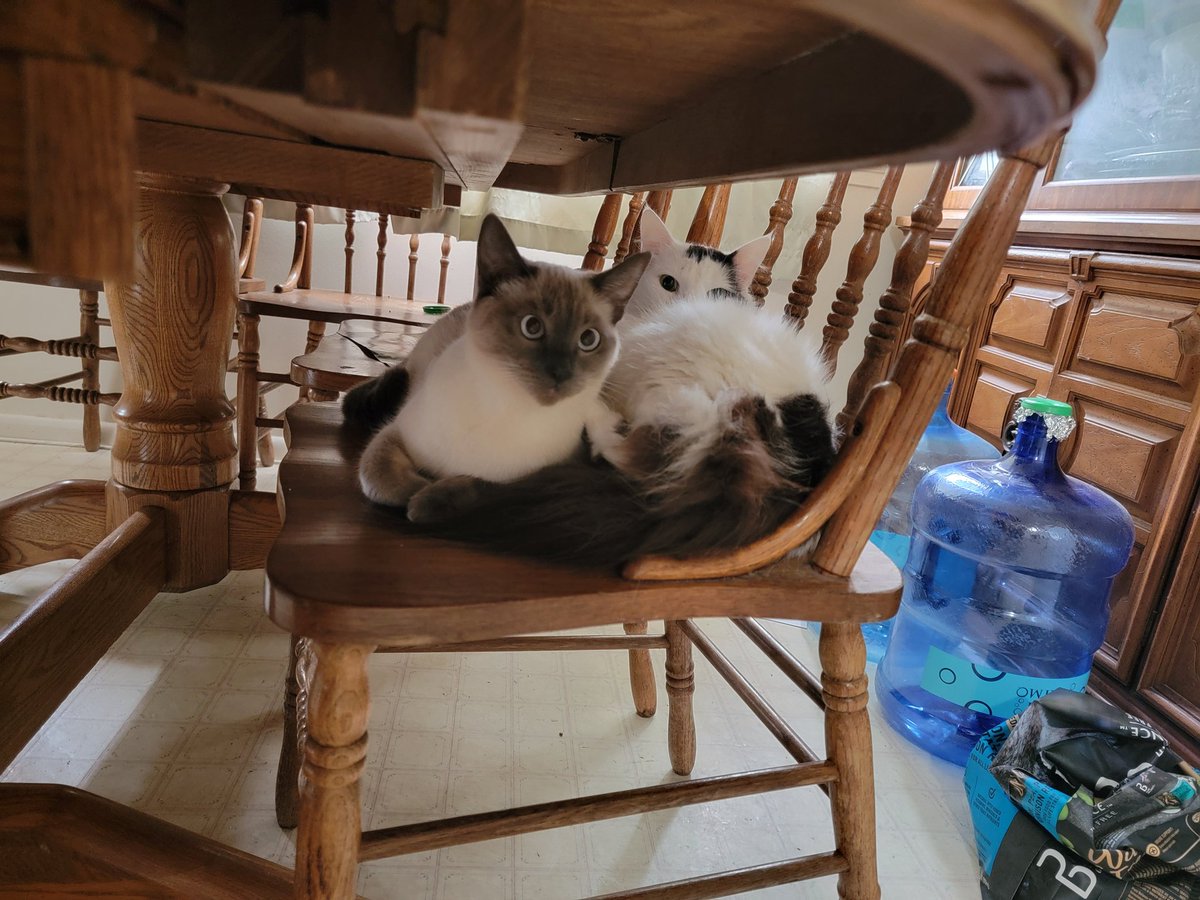 AlphaNine2's tweet image. The chair thieves