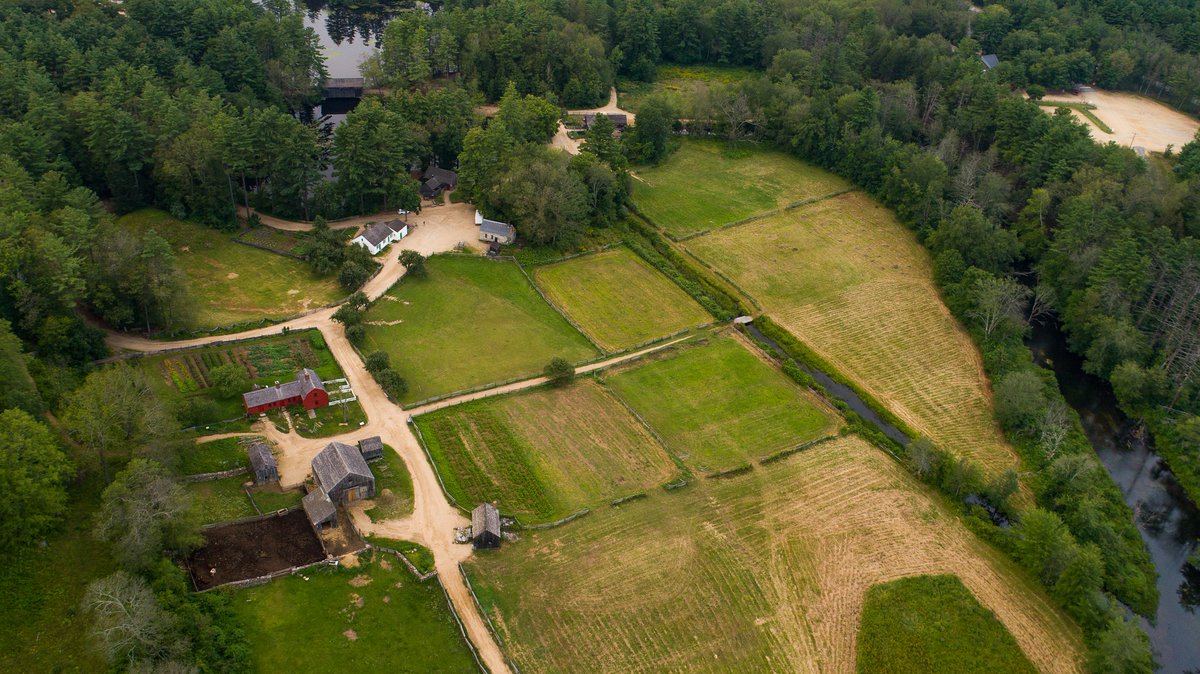 The landscape in 1830s New England was quite different from today! As much as 60-80% of the New England landscape was cleared for agriculture, grazing, and buildings. Today, a much larger percentage (an estimated 80%) of New England is covered in forest.  #ArchivesLandscape