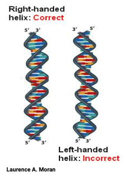 Kristi Kruse tweet media