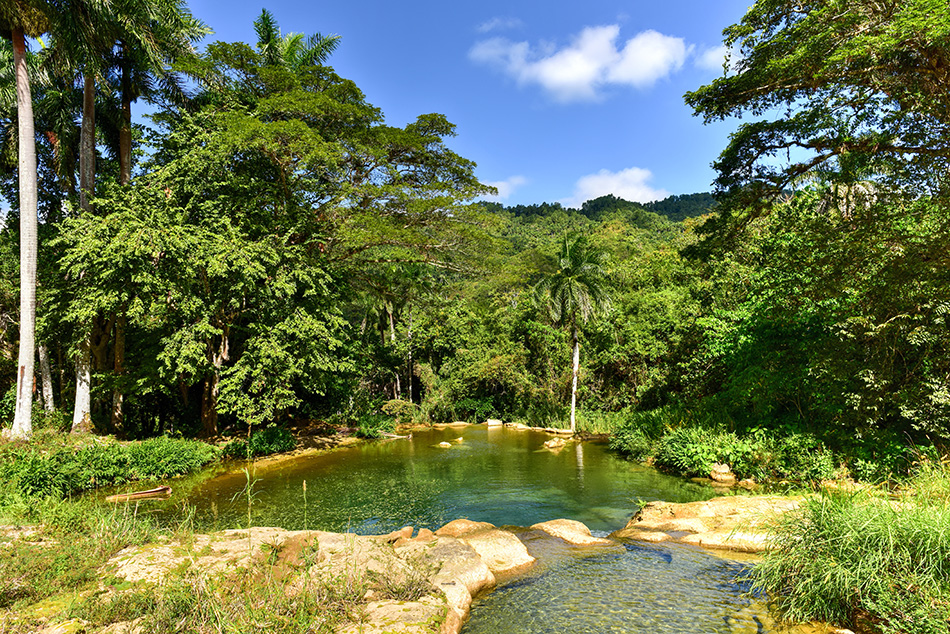TransturC's tweet photo. ¡Las excursiones a El Nicho son una experiencia que no te puedes perder! 
Cascadas cristalinas, senderos rodeados de vegetación y vistas que quitan el aliento. 
.
📍 El Nicho, Cienfuegos, Cuba
#Naturaleza #Aventura #ElNicho #Transtur https://t.co/2TWqTJcsyv