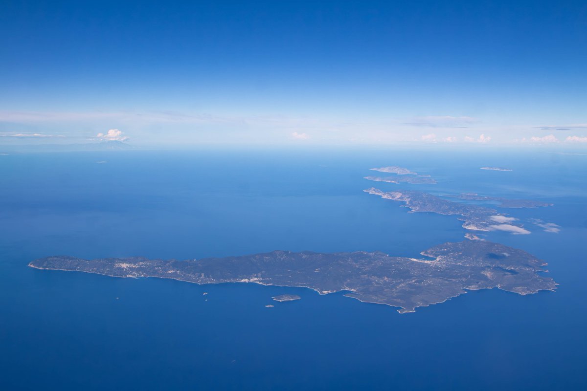 Adrian Golemis tweet media