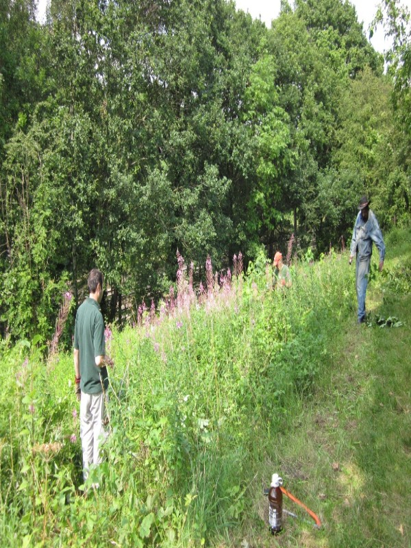 GarthorneroadNR's tweet image. Friends of Garthorne Road Nature Reserve Conservation Workdays dates for 2025 - next one Saturday 8th Feb 11am-3pm mailchi.mp/710e27e8490f/f… . We will continue to manage the site for its wildlife and will be doing some invasive species  removal and clearing some wind blown trees.