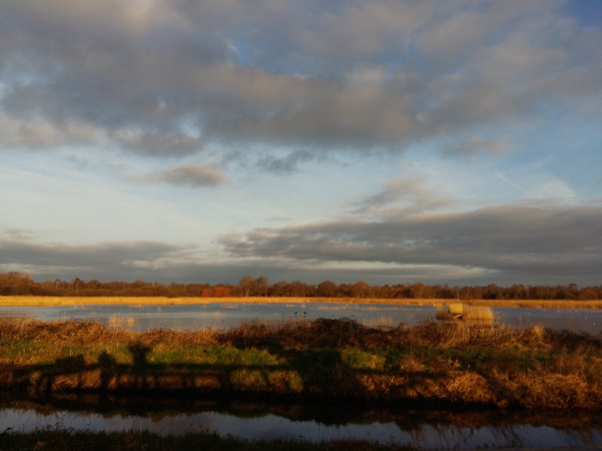 MrsOblivious's tweet photo. A visit to #TheLevels #Somerset https://t.co/0m7Ino8CG8