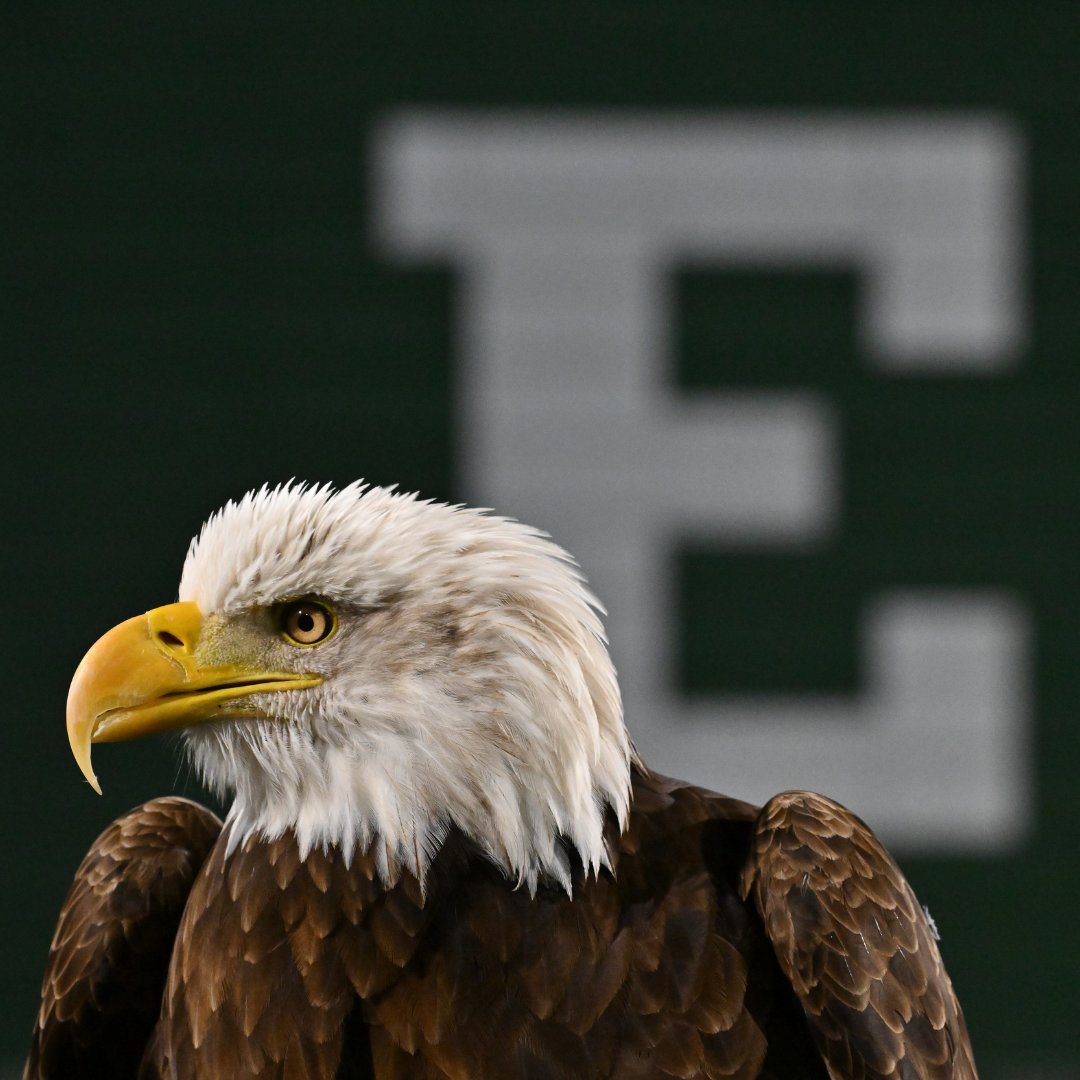 EasternMichU's tweet photo. Happy #BlockEFriday! Who are you rooting for this weekend? https://t.co/LY2KsIoAz8