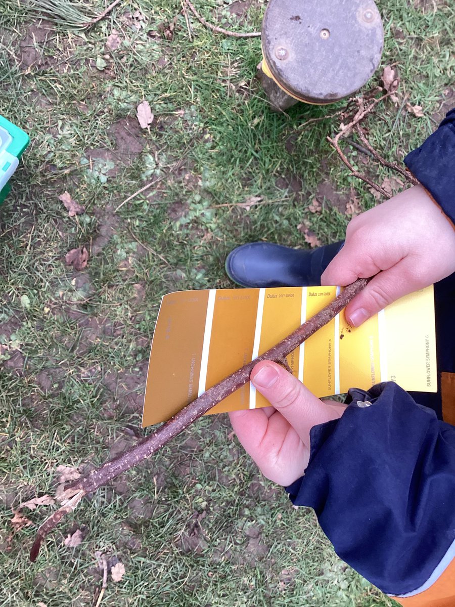 whcps's tweet photo. #whcyear2 have enjoyed their #whcforestschool experience today! We made insect home, a nature colour chart and bird feeders. #whcoutdoorlearning https://t.co/x0Irqdc8Pp