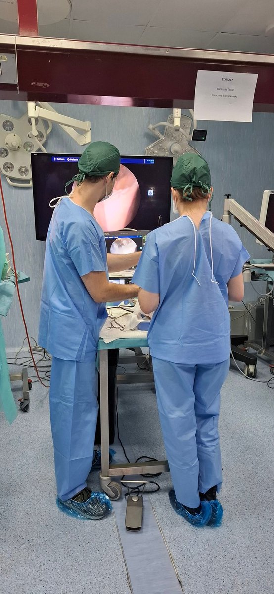 ifnefederation's tweet photo. Wrapping up an unforgettable week at the 2025 IFNE- JSNE- GLEN- NESI- CSNE Hands-on Workshop in Naples.

A huge thank you to all the faculty, participants and sponsors who made this event such a success. 

#IFNE #Neuroendoscopy #MedicalInnovation #Naples #HandsOnWorkshop https://t.co/5RVk6nvEWJ