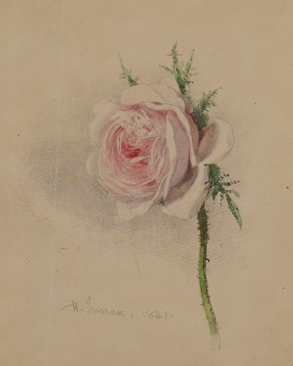 walters_museum's tweet photo. Every rose has its thorn 🌹 Just be sure to remove them before giving your boo a bouquet this Valentine's Day ❤️‍🩹 #roseday 

🎨 https://t.co/jzf9utZC2S
🎨 https://t.co/Mx1UNkrUog
🎨 https://t.co/pj8HbPTHuO
🎨 https://t.co/4bshBk8s7t https://t.co/lKhyv6Z8WD