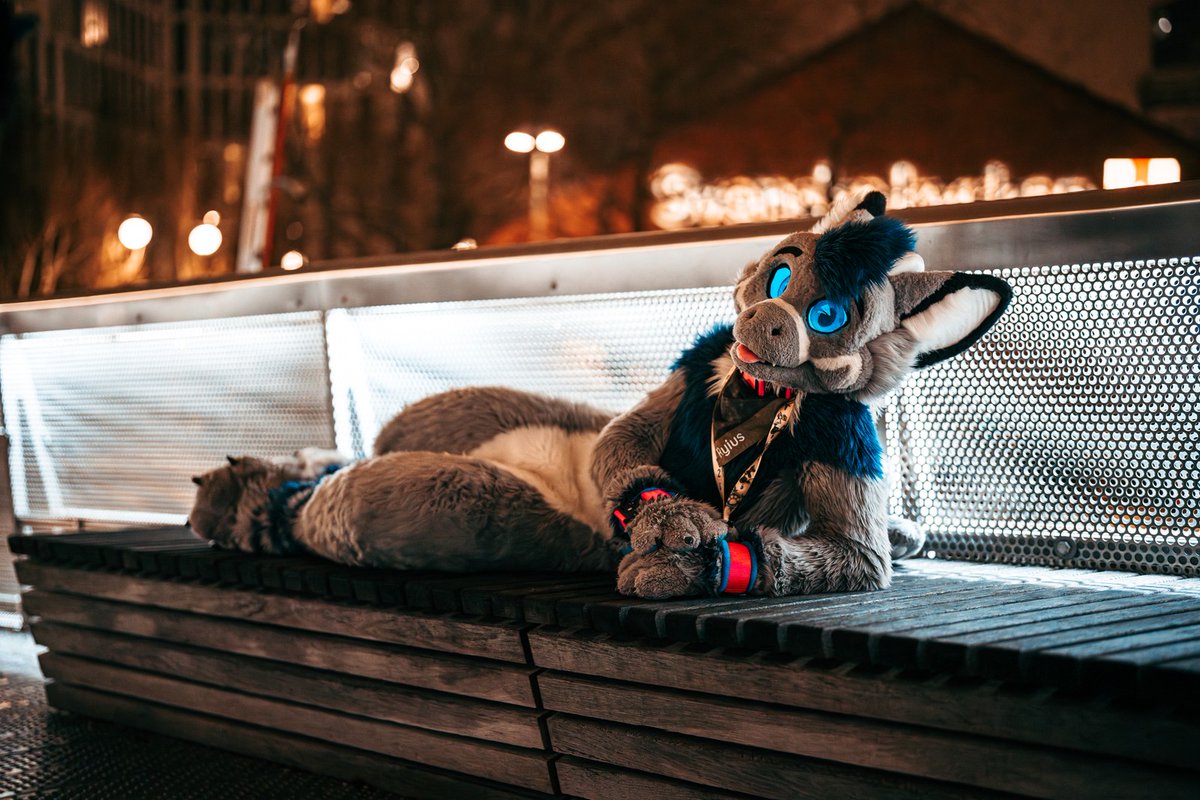 Hi, please pay your bridge toll!
This #FursuitFriday it's only some cuddles or petting the bridge dragon! 

Picture  by <a href="/Nighti331/">Nighty331</a>