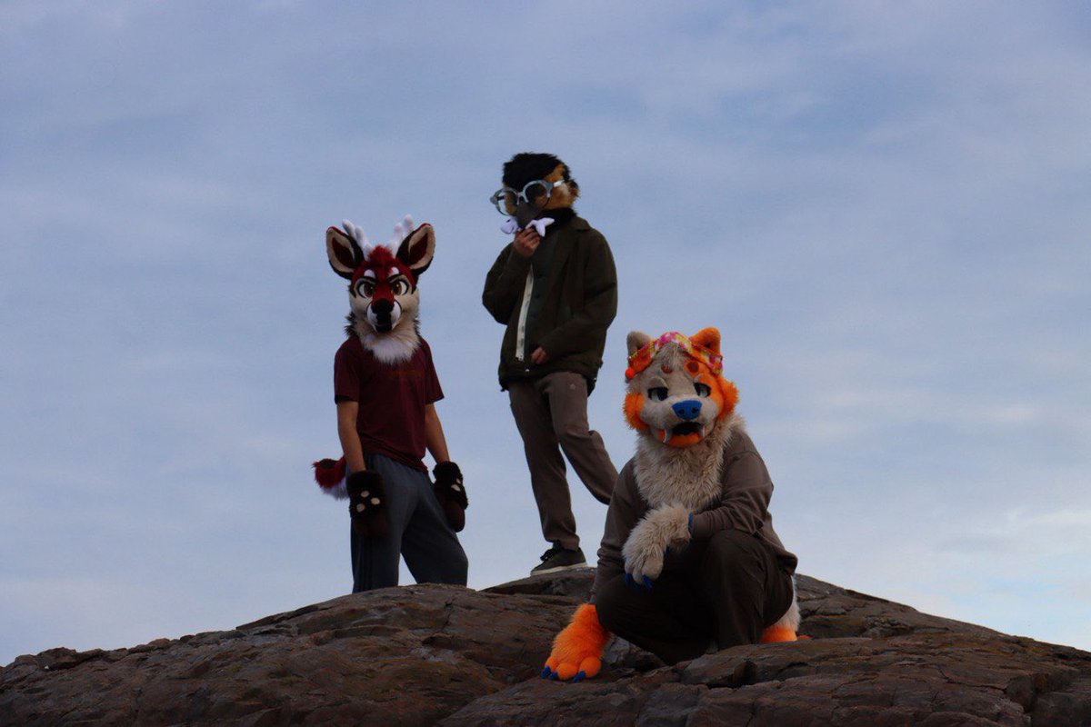 Gang. #FursuitFriday
