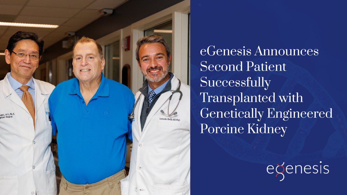 eGenesis (@egenesisbio) on Twitter photo Excited to announce our second patient was successfully transplanted with our genetically engineered porcine kidney. A historic milestone for #organ #transplantation.
Thank you <a href="/mgh_transplant/">Mass General Transplant</a> for being an incredible partner.
Read the press release:
shorturl.at/B6SIK Excited to announce our second patient was successfully transplanted with our genetically engineered porcine kidney. A historic milestone for #organ #transplantation.
Thank you <a href="/mgh_transplant/">Mass General Transplant</a> for being an incredible partner.
Read the press release:
shorturl.at/B6SIK