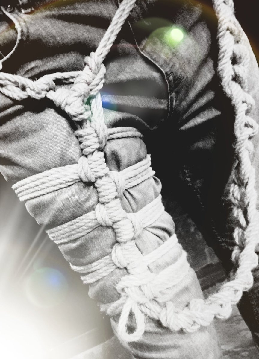 Marcus John Hall tweet media