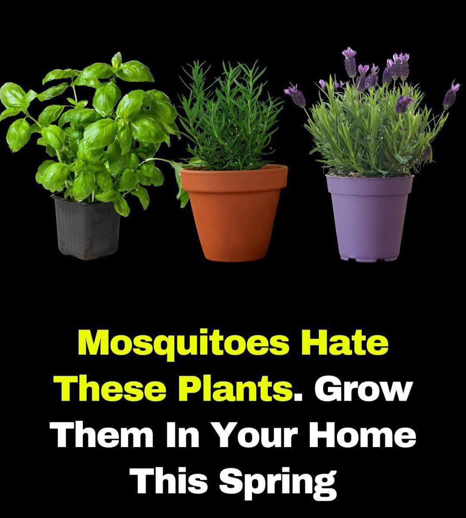 akhun57's tweet image. "قائل،مائل،گھائل،اور زائل کر دیتے ہیں الفاظ خود میں بہت طاقت رکھتے ہیں۔❤️
#BBB25 #notebook0616 #INDvsAUSTest