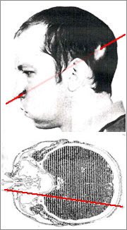 KrakenCove tweet media