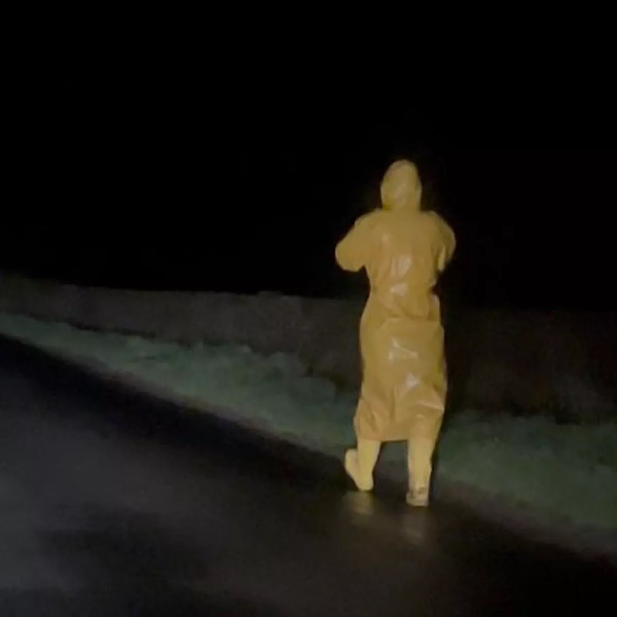 KrakenCove tweet media