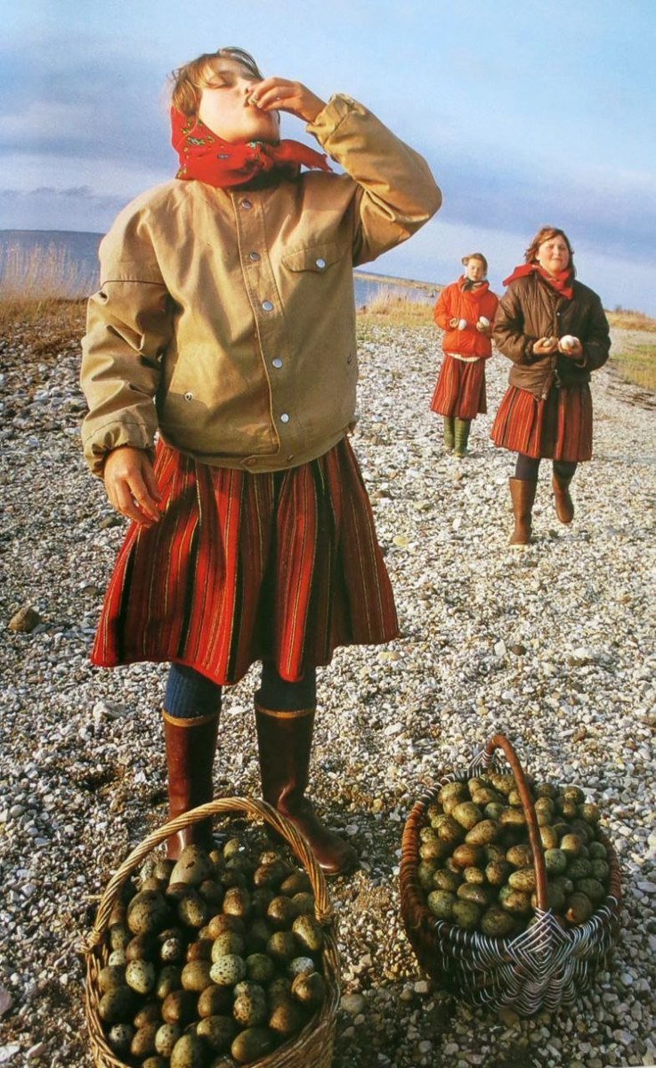 mike_boreas's tweet photo. Girls collecting seagull eggs. Kihnu Island, Estonia. 1980s. https://t.co/yfnkjqvhPm