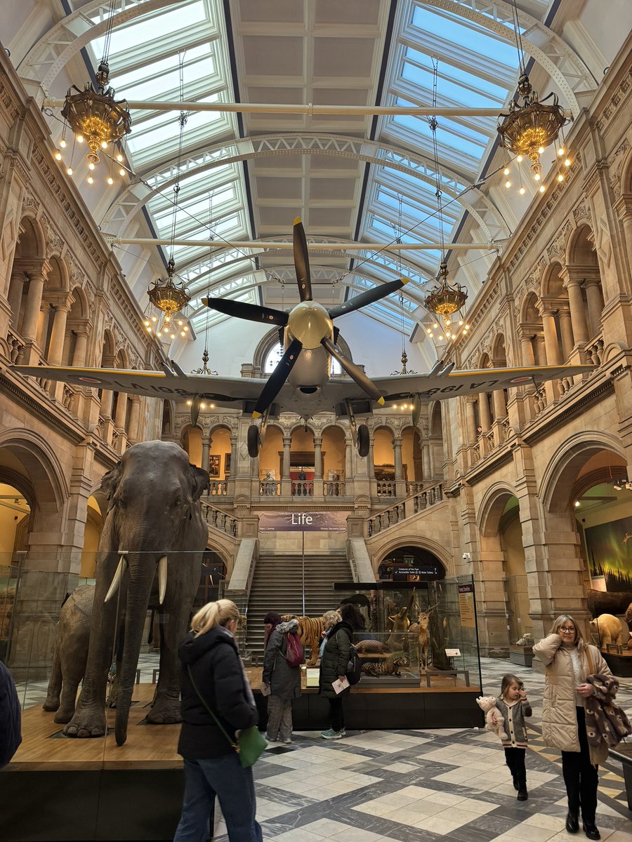 Amy Enable tweet media