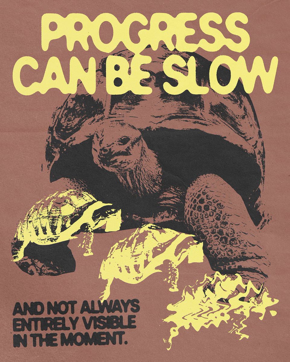 🐢