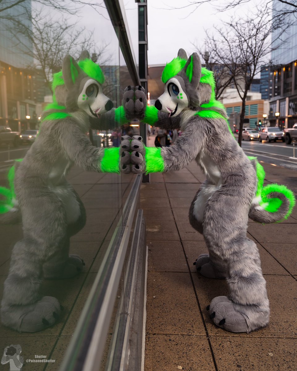 I feel like I know you from somewhere…
Happy #FursuitFriday :3

📸: <a href="/PoisonedShutter/">Shutter</a>