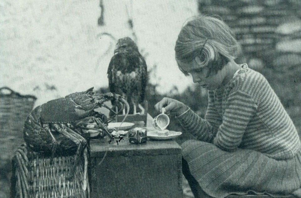 Ann Lockley taking tea with a baby hawk and a lobster. Ann lived on the island of Skokholm, where her family were the only inhabitants and animals were pals. This photo was taken for a 1938 National Geographic story ‘We Live Alone and Like It — On An Island’.⁠