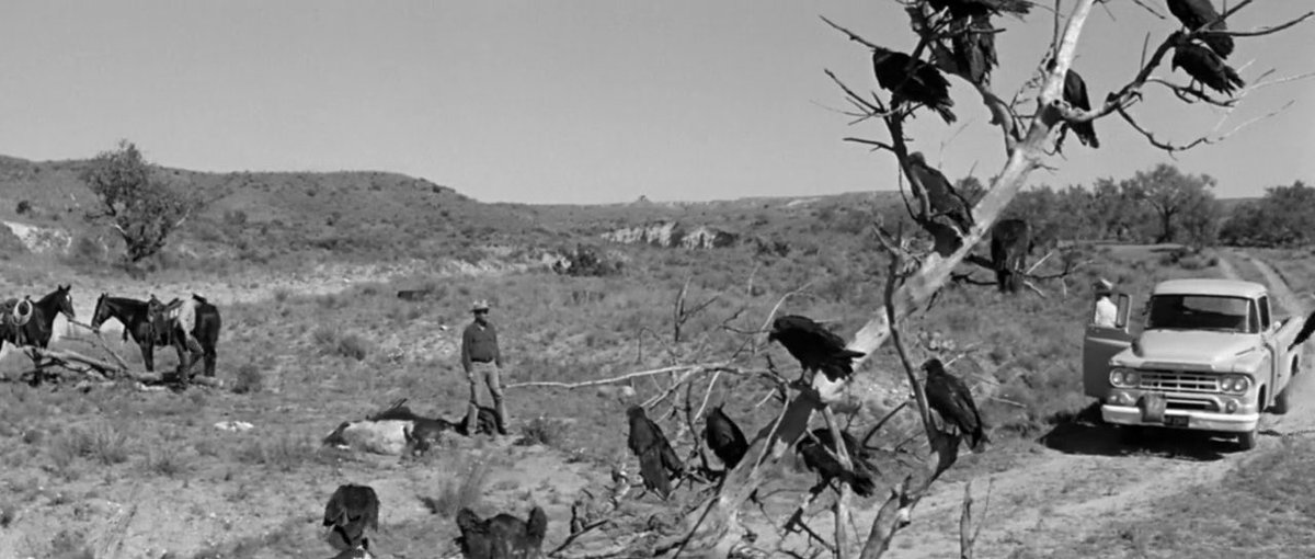 Karine M. Donelle tweet media