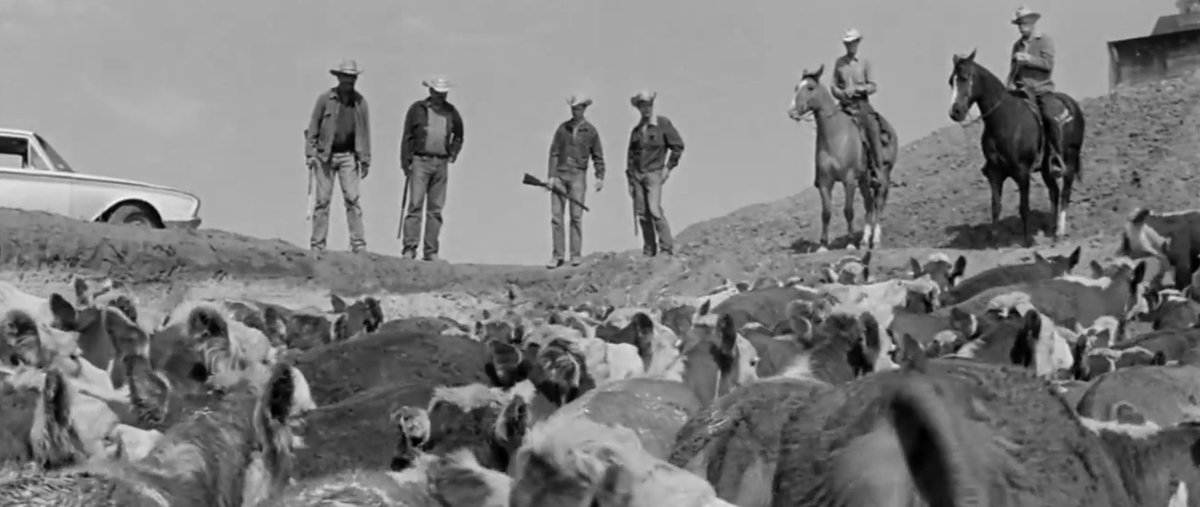 Karine M. Donelle tweet media