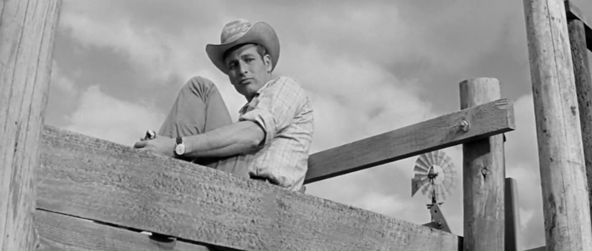 Karine M. Donelle tweet media