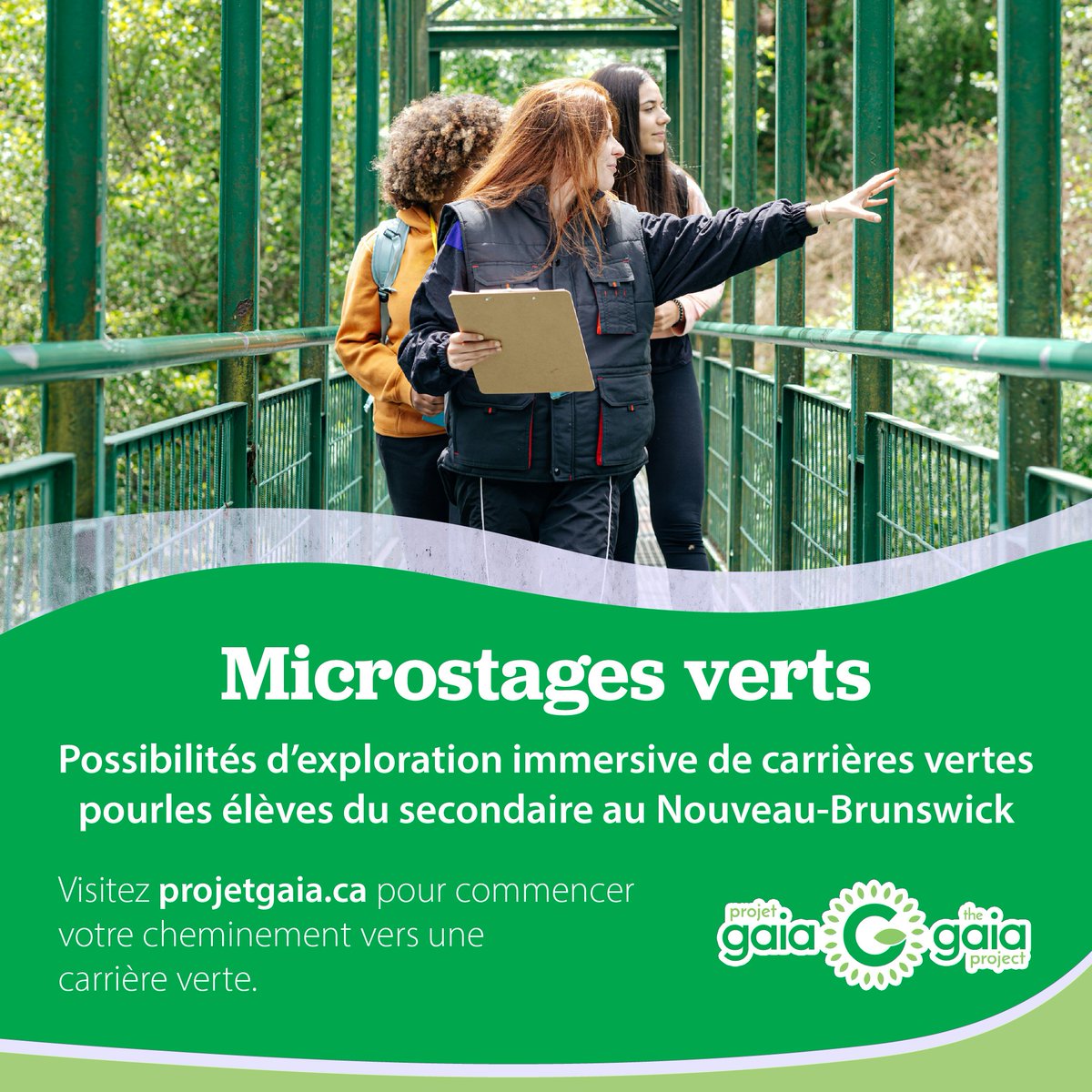 🌿 Élèves du secondaire au N.-B.! Une carrière dans le domaine de la durabilité, ça vous intéresse?

Les microstages verts du Projet Gaia vous offrent une expérience pratique d’une journée auprès de professionnels et professionnelles de l’environnement!

✅ Visiter un lieu de