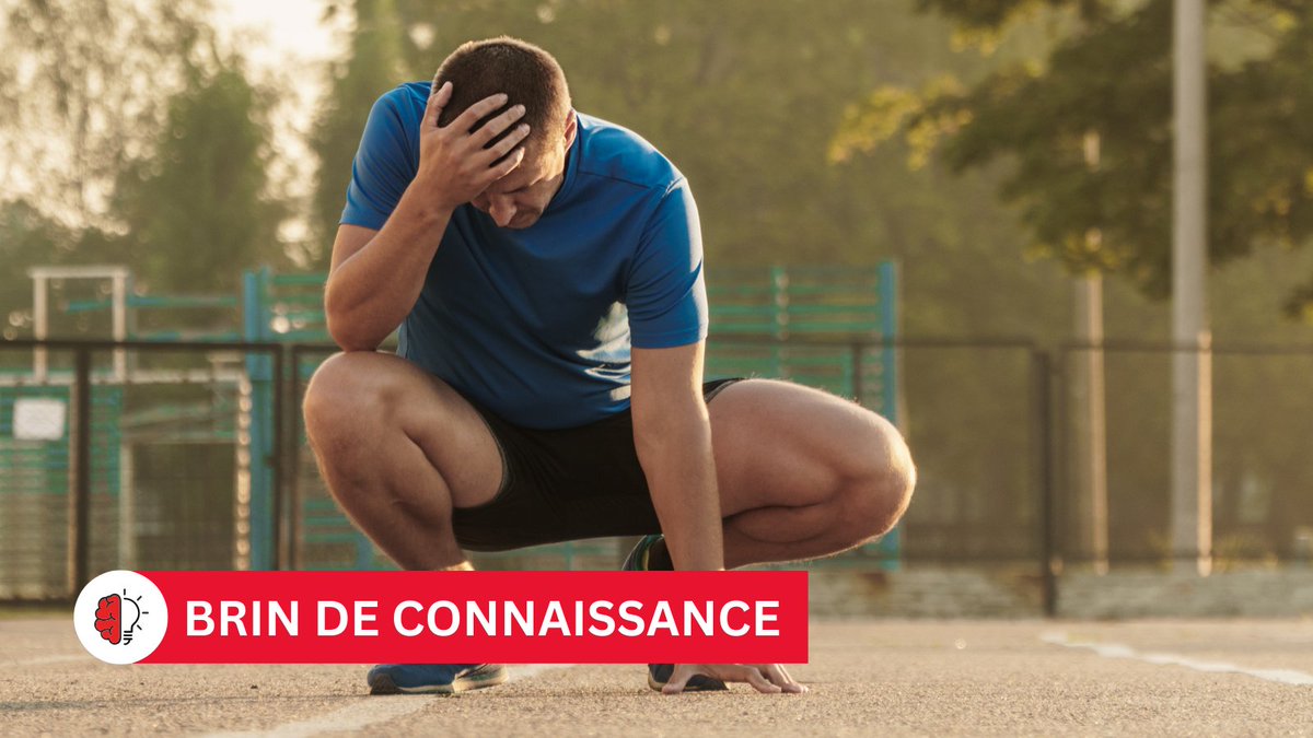 🧠 Le changement climatique présente des risques pour la santé des athlètes. Ce modèle met en évidence l'impact sur la performance et la sécurité sportives.
En savoir plus ➡ bit.ly/42lpaQs