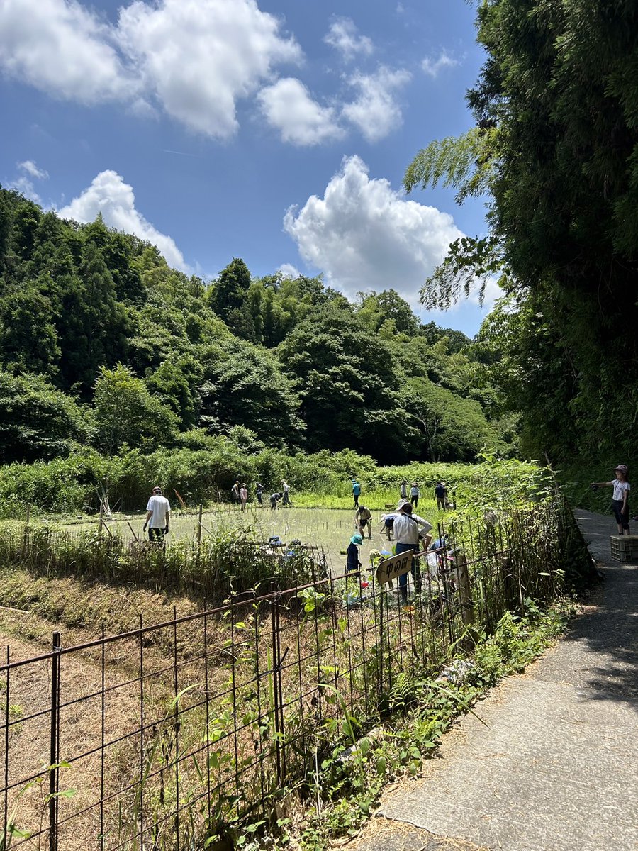 OsakaVolunteer's tweet photo. \ #環境 /非日常な自然の中で行う里山保全活動🏞
竹林整備や間伐を通し里山整備を行います!
日時:3/8(土)-9(日) ※1泊2日
場所:富田林自然を守る会 (集合:近鉄長野線「滝谷不動」)
募集先:NICE(日本国際ワークキャンプセンター)関西事務局 @NICEWEST
詳細
☞ https://t.co/cskQo8gLxK
#M327 https://t.co/trALly5shp
