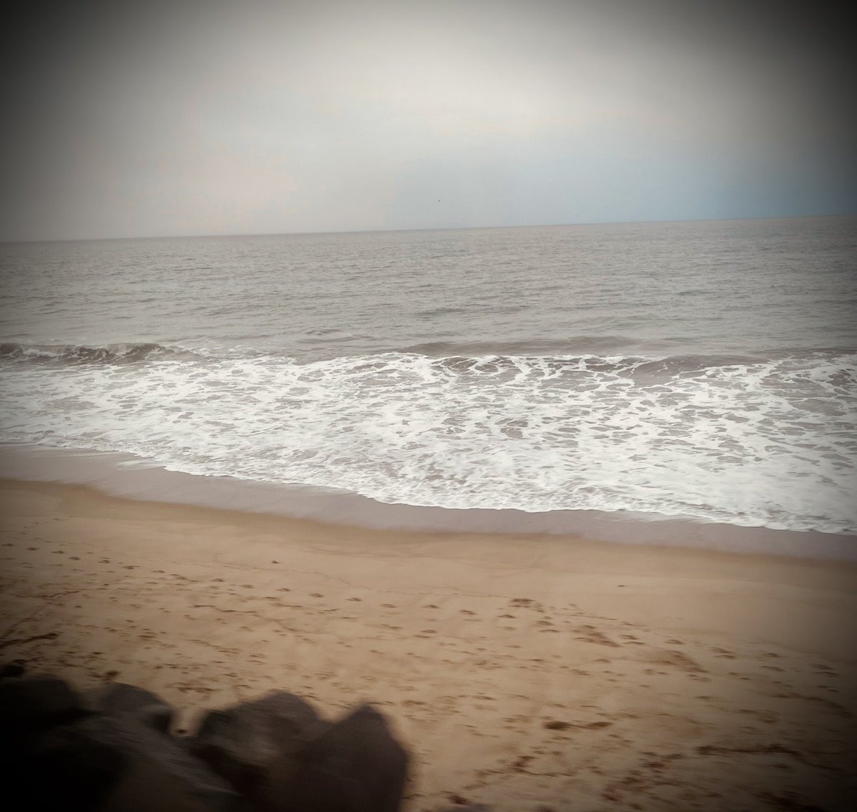 LorenaSGonzalez's tweet image. Beautiful early morning train to LA. Great day for a little civil disobedience. #StrikesWork #GoodTrouble