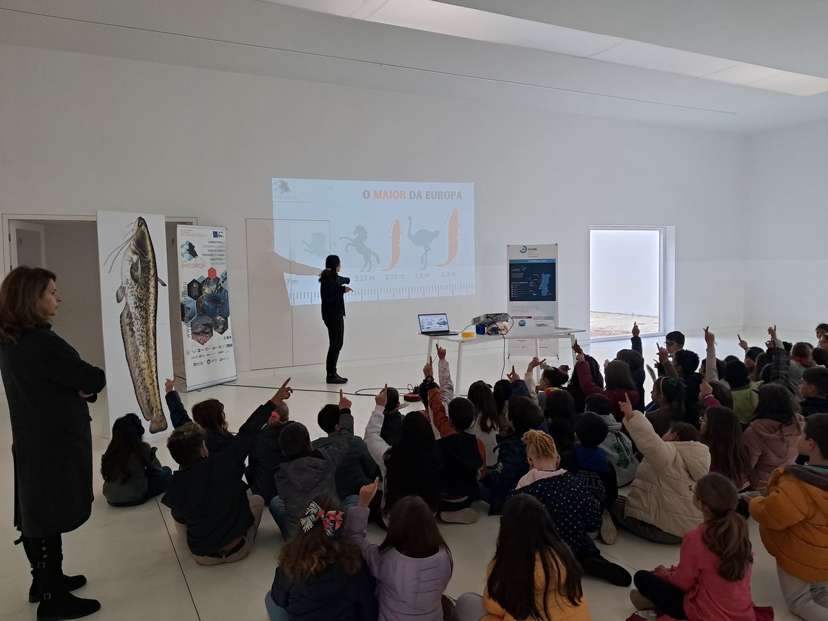 FishInvasionLab's tweet photo. Just had another great day at #vilanovadabarquinha schools increasing children's awareness about the problem of european catfish invasion in Tagus river! #LIFEPREDATOR @cienciasulisboa @MAREscience @CE3CResearch @IdlLuiz @LIFEprogramme https://t.co/xvywPSgBvQ