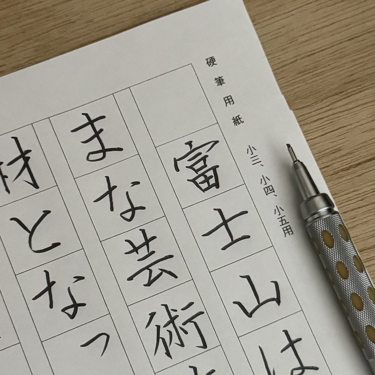 書家 書家 | 夏目翔鶴 (@showcalligraphy) / Posts / X