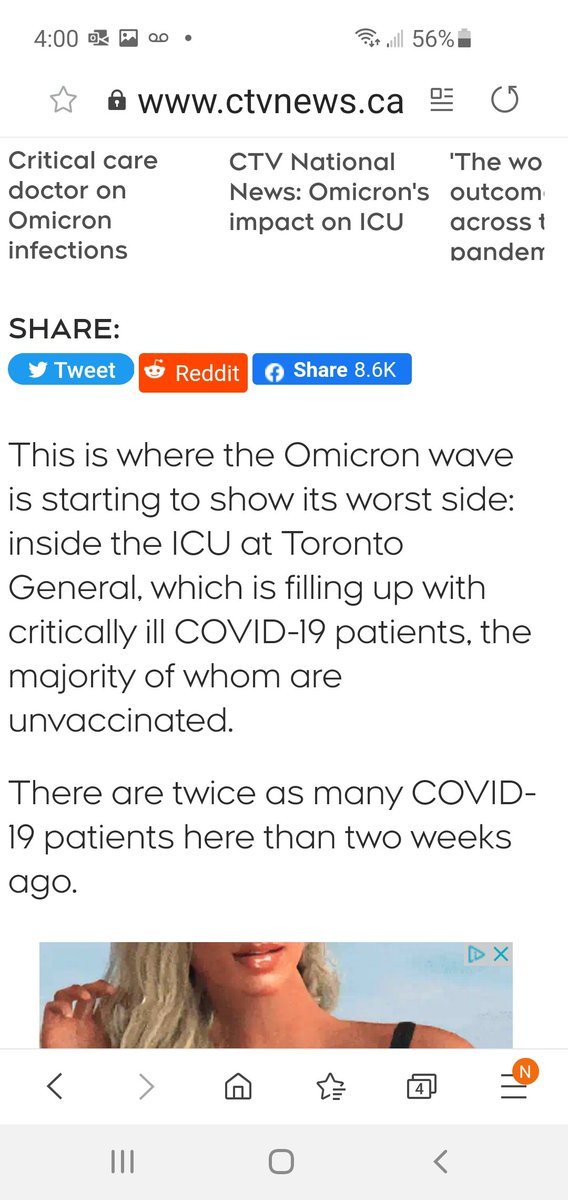 Tim Taylor tweet media