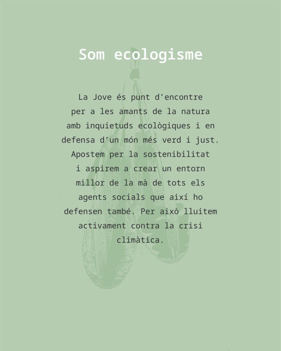 JoveMuixeranga's tweet photo. ⚫️🟠

10é Aniversari de la Jove

SOM ECOLOGISME

A la muixeranga intentem lligar la consciència amb la cultura i per això volem actuar de la millor forma possible assumint posicionaments que ens facen crèixer i continuar plantant cara als reptes que se’ns presenten. https://t.co/MYkTNMDwv1