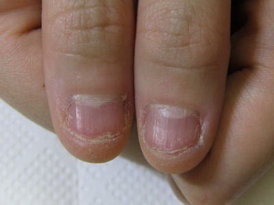 さめちゃん@Zepp大阪12/16参戦 tweet media