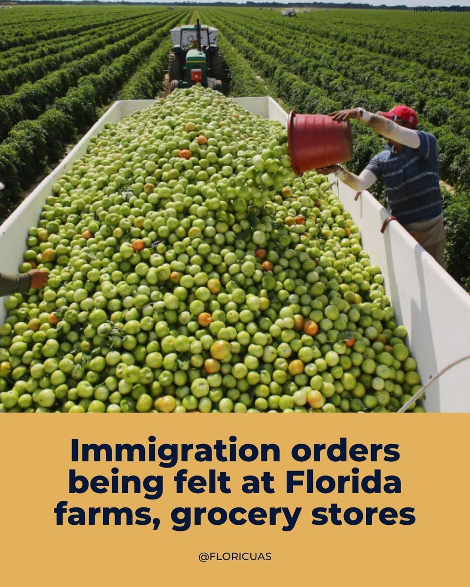 Floricua tweet media