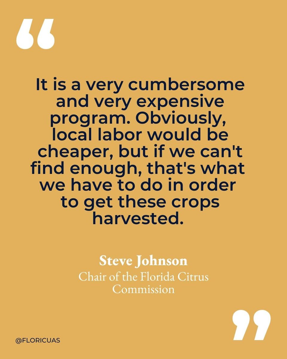 Floricua tweet media