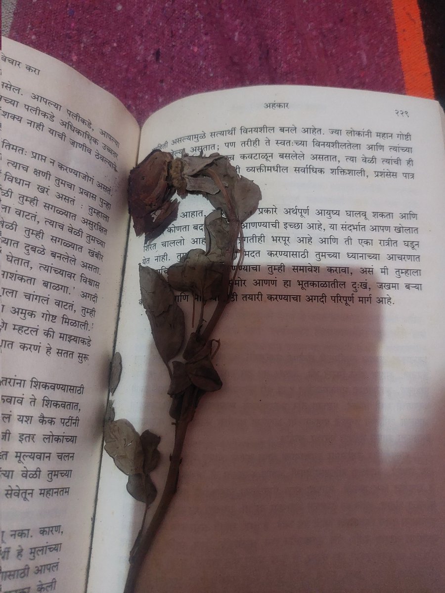 surajspeaks02's tweet image. Rose day वरून आठवलं,कधीकाळी मला ही कुणीतरी फुल दिलं होतं,ते मी आजपर्यंत जपून ठेवलंय...

#2k19