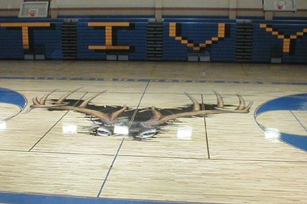HeathClawson's tweet photo. Miss my dad every day. This was his favorite job he ever did. The Kerrville Tivy Antlers. He was amazing! https://t.co/TsNpx5vC6i