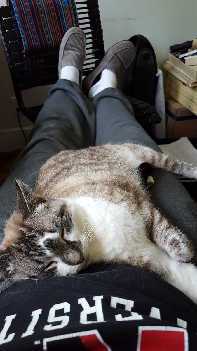 Bruce Clark 💧 tweet media