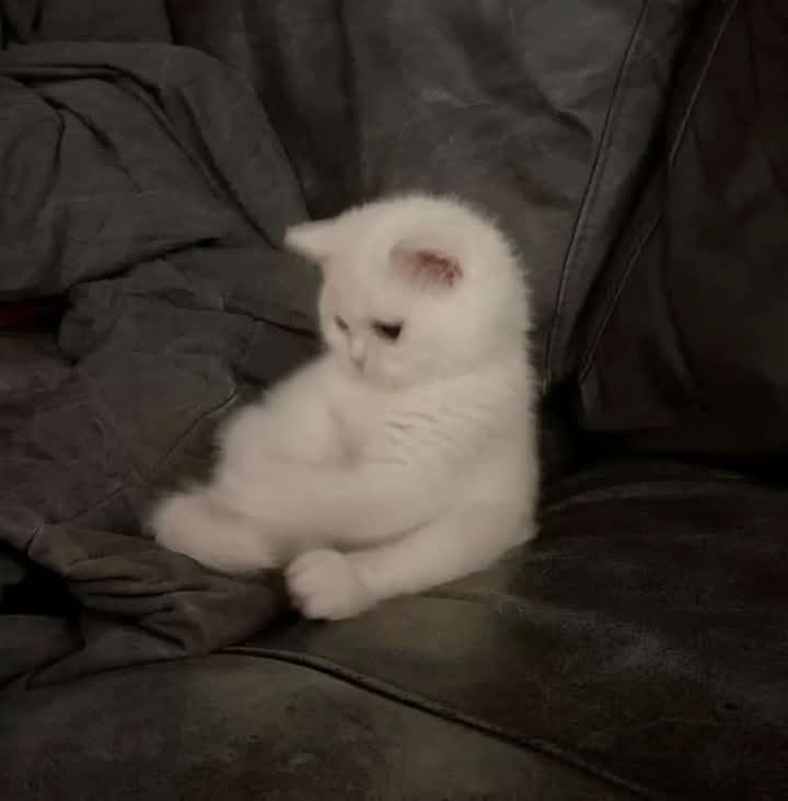 I want salary without job.