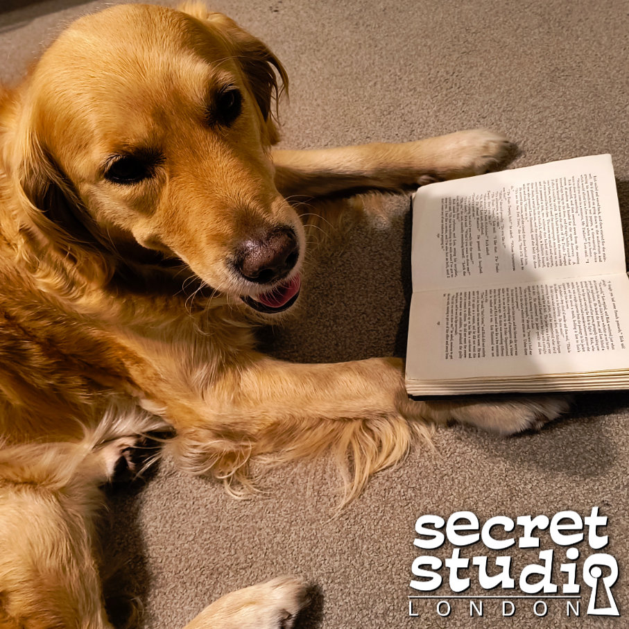 Maisie will uncover the truth behind our missing person mystery. Think you can solve it before she does? No, you won’t, Maisie is the best! 

🚨 You must like and share this post… otherwise you don’t love dogs! If so, you are not allowed to book here: escapeintime.co.uk/secretstudiolo…