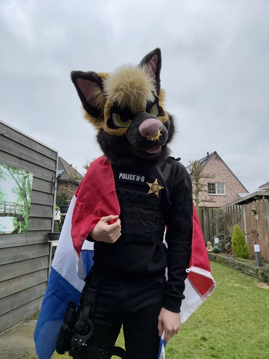 MalinoisMylo's tweet photo. My first #FursuitFriday in the Netherlands! 

Im so happy here 🧡 https://t.co/v8FgM0bC4M