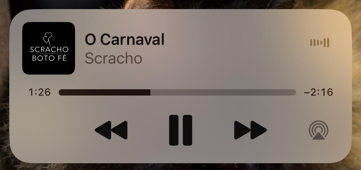 rql 🤎ᩚ tweet media