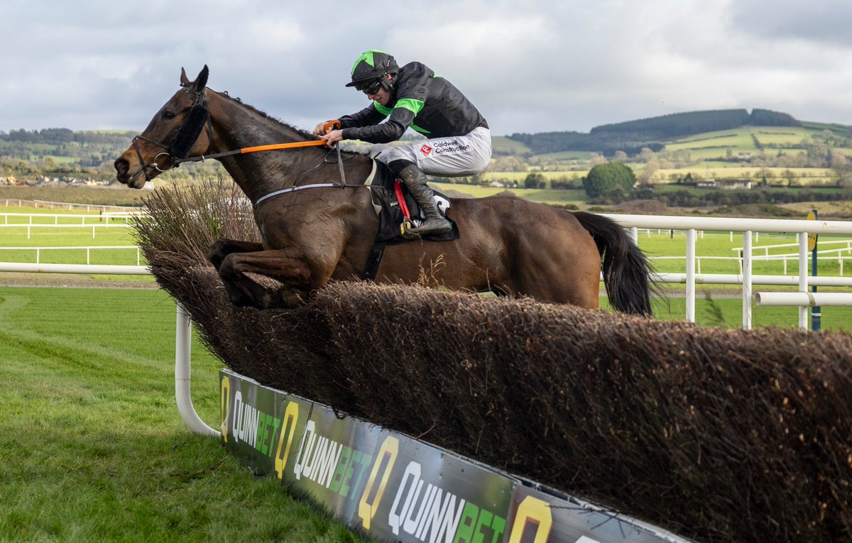 Punchestown tweet media